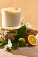 Orange Blossom Neroli 3-Wick Candle