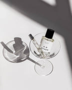 Ginger Tonic FR/2018 Travel Size Fragrance