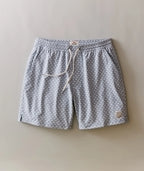 6" Lined Sport & Swim Short