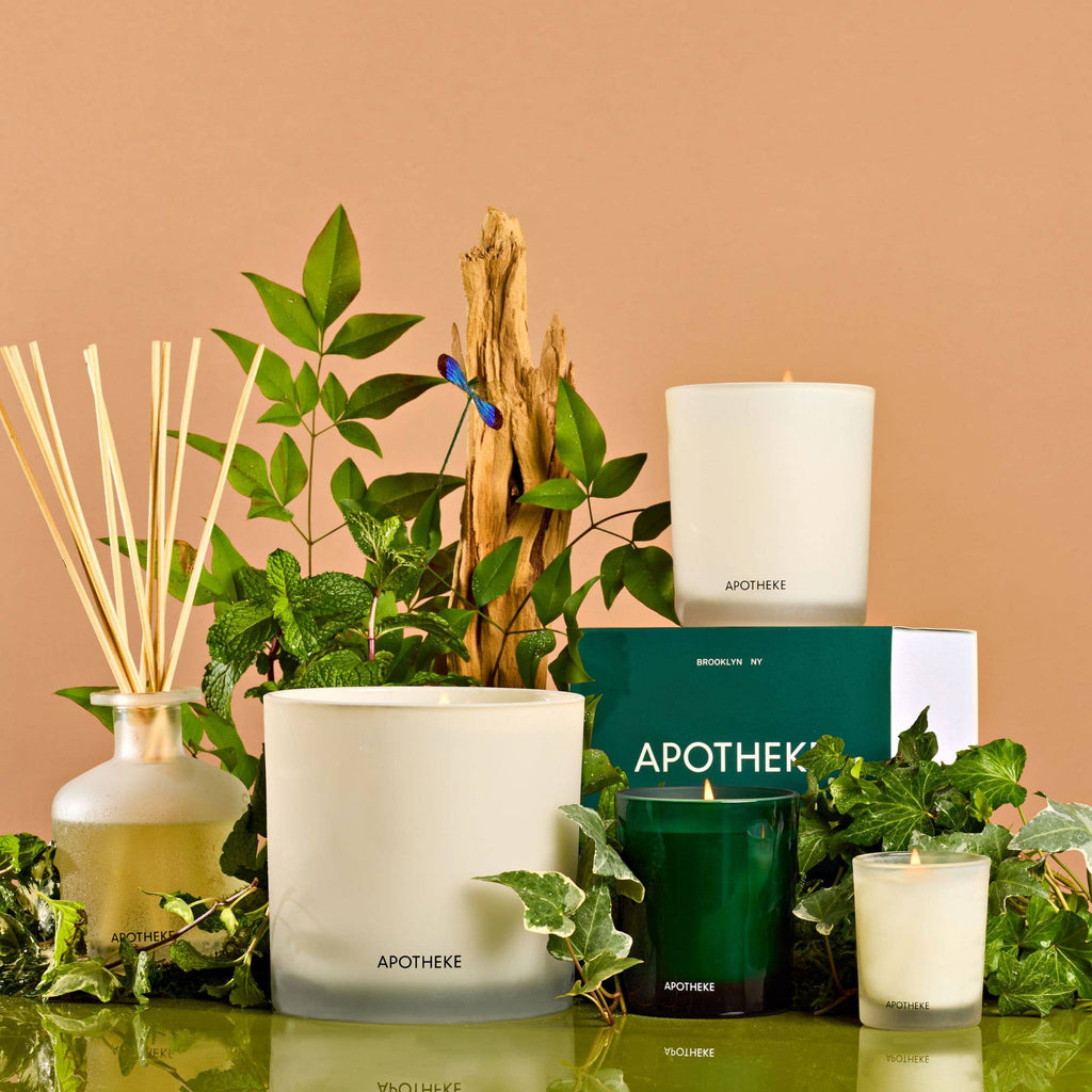 Wild Mint & Ivy Mini Tin Candle